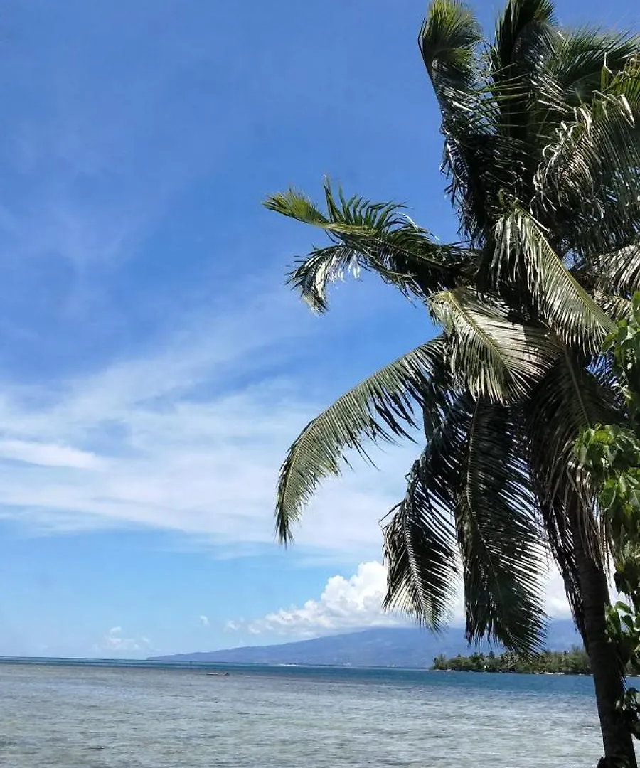 Bungalow Vue Lagon 180 Degre, La Maison Bleue Moorea 0*,  Fransk Polynesien