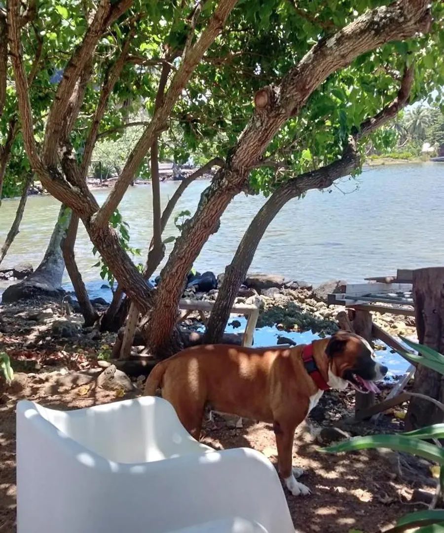 Bungalow Vue Lagon 180 Degre, La Maison Bleue Moorea
