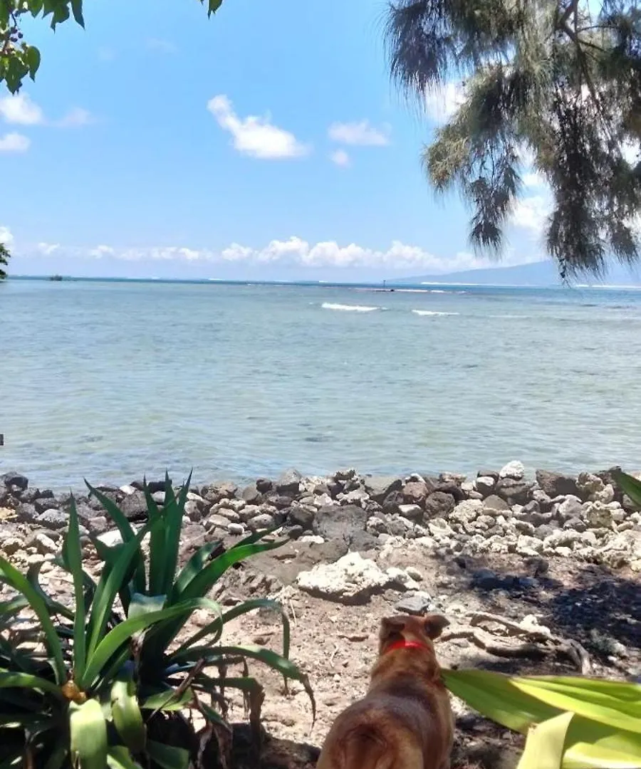 Bungalow Vue Lagon 180 Degre, La Maison Bleue Moorea 0*,  French Polynesia